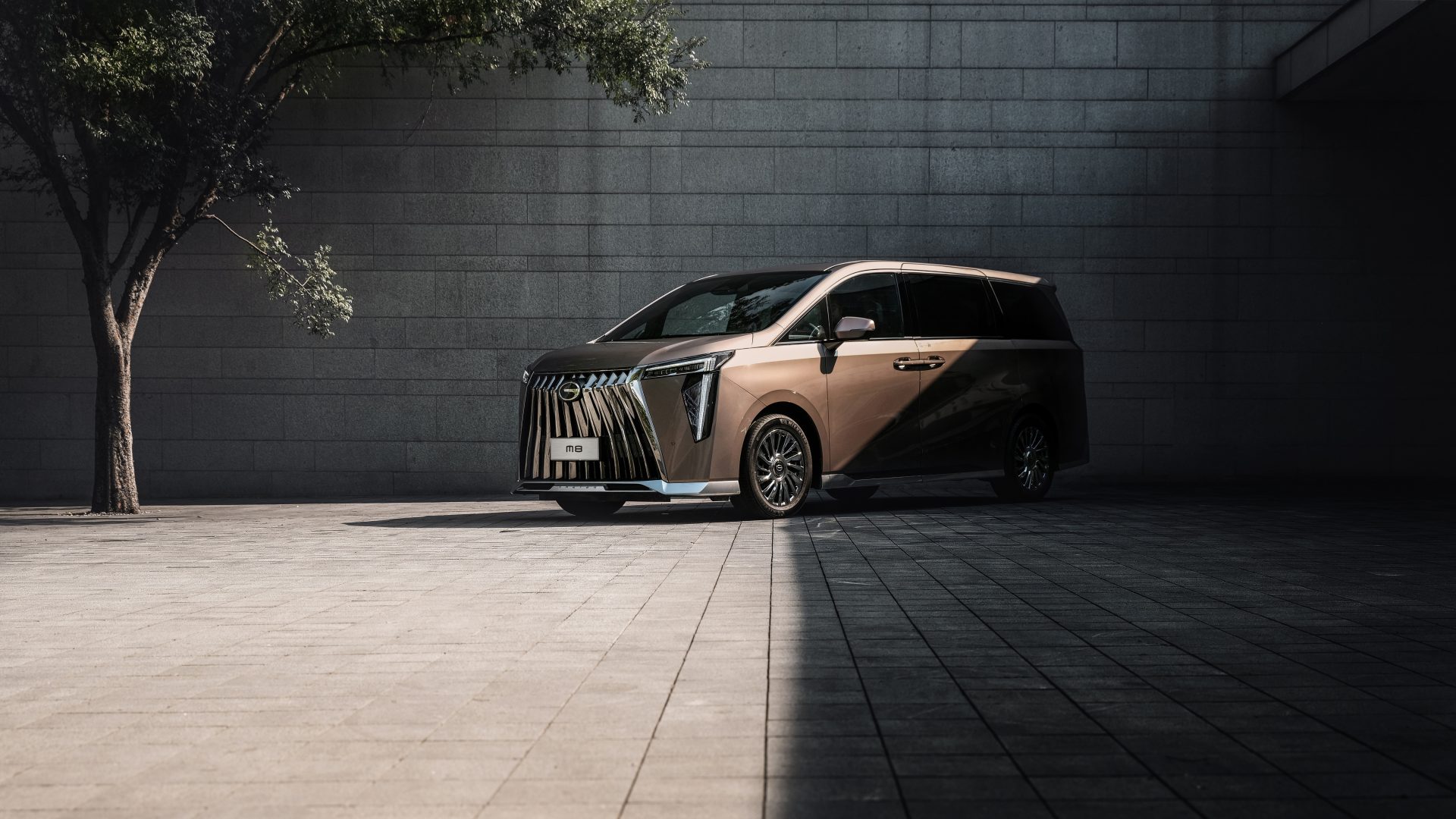 ZYM00438 oi303451583 opq304302104