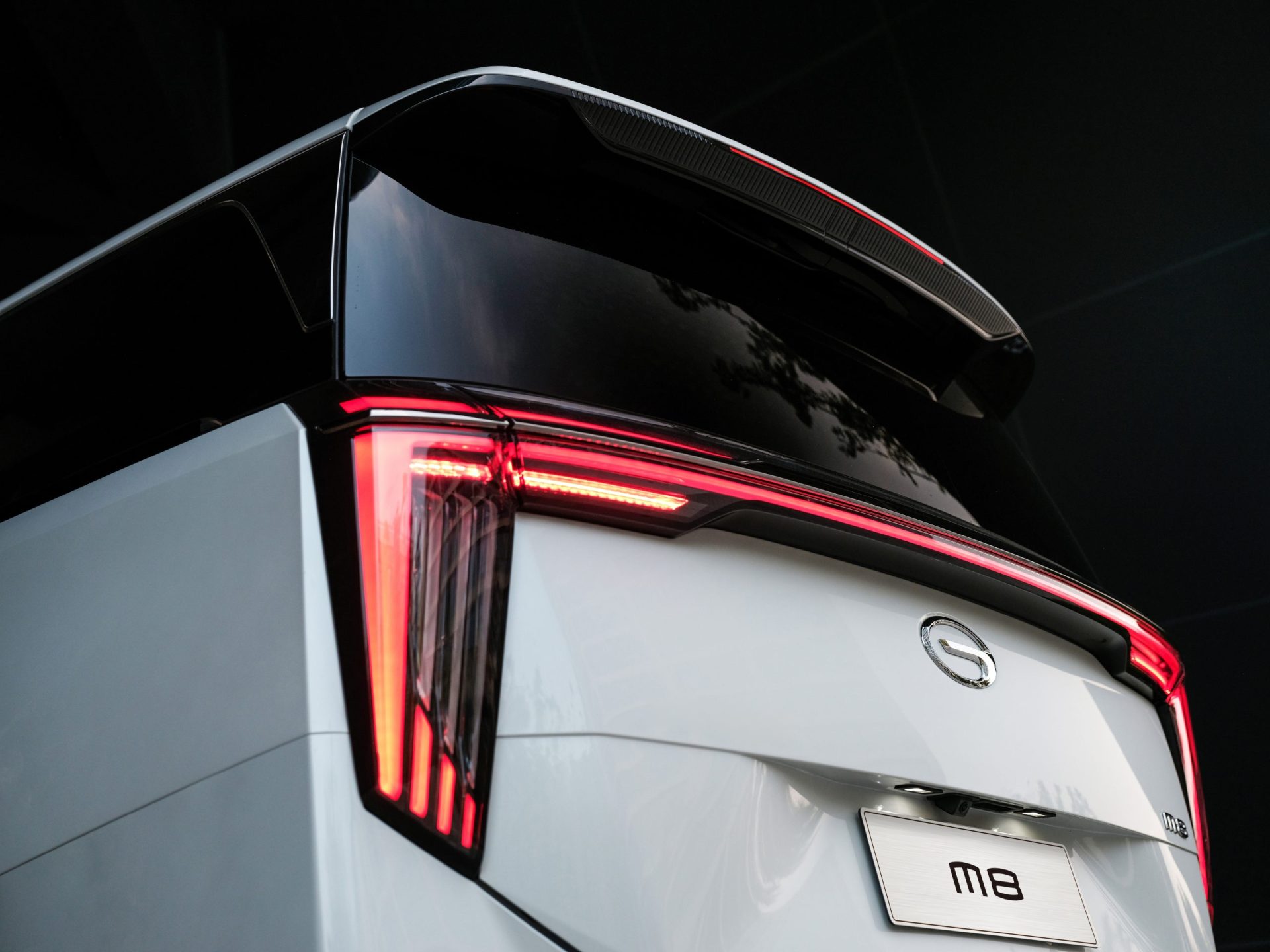 ZYM00499 opq303759155 scaled 1